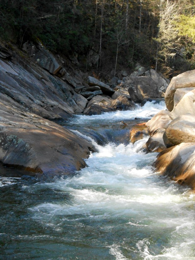 North Carolina 2013 (6)