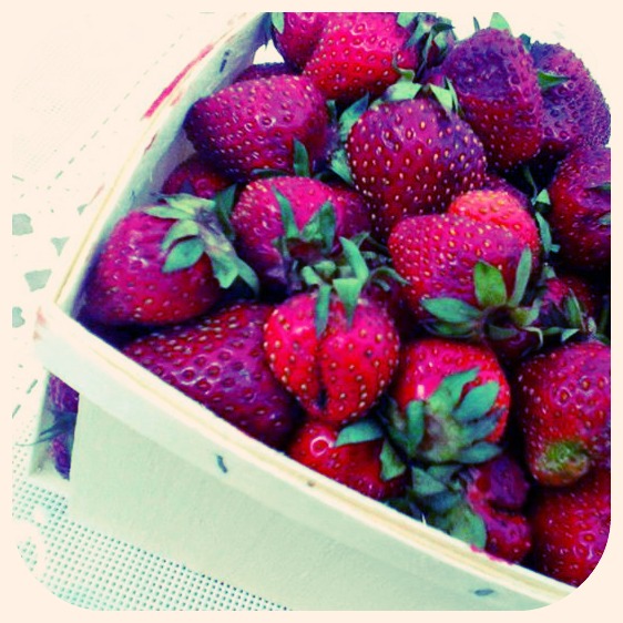 strawberry photo by Lydia Krupinski