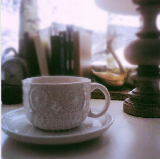 Pierogi Picnic on Instagram