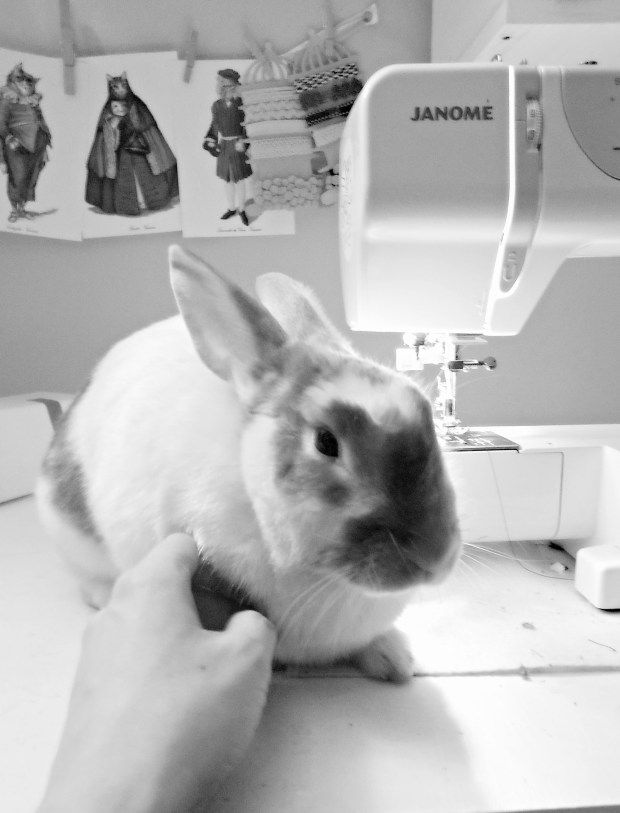 Rocket the Rabbit - the new Pierogi Picnic spokes bunny!