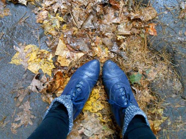 Pierogi Picnic: Starved Rock Babymoon