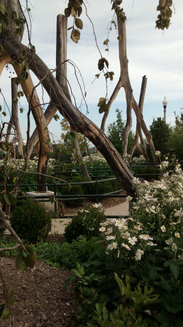 wp-1446128899613 image