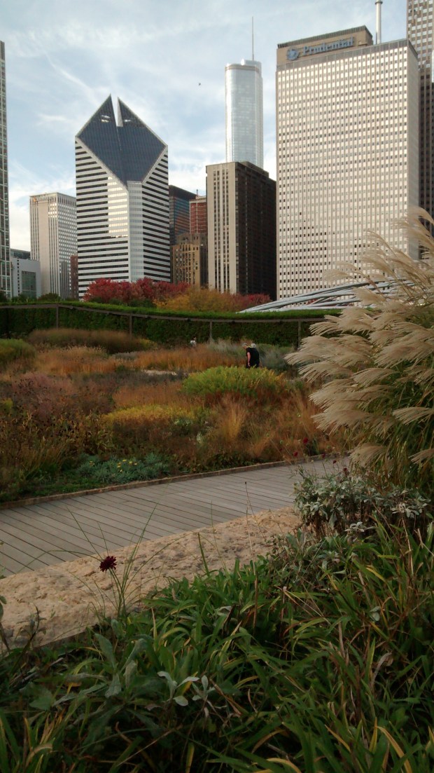 wp-1446137133139 image