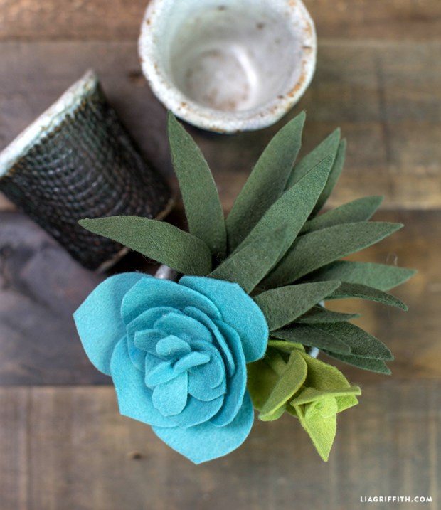 Felt_Succulent_Pattern_2