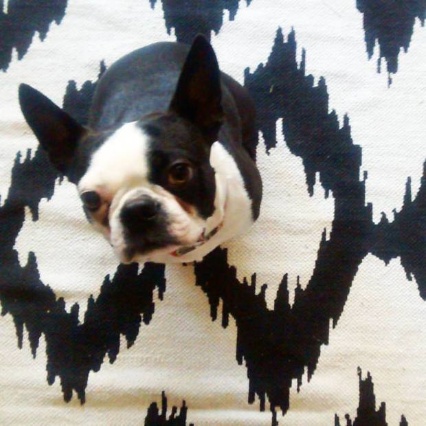 10639619_10101445359559851_5380117540237514658_n