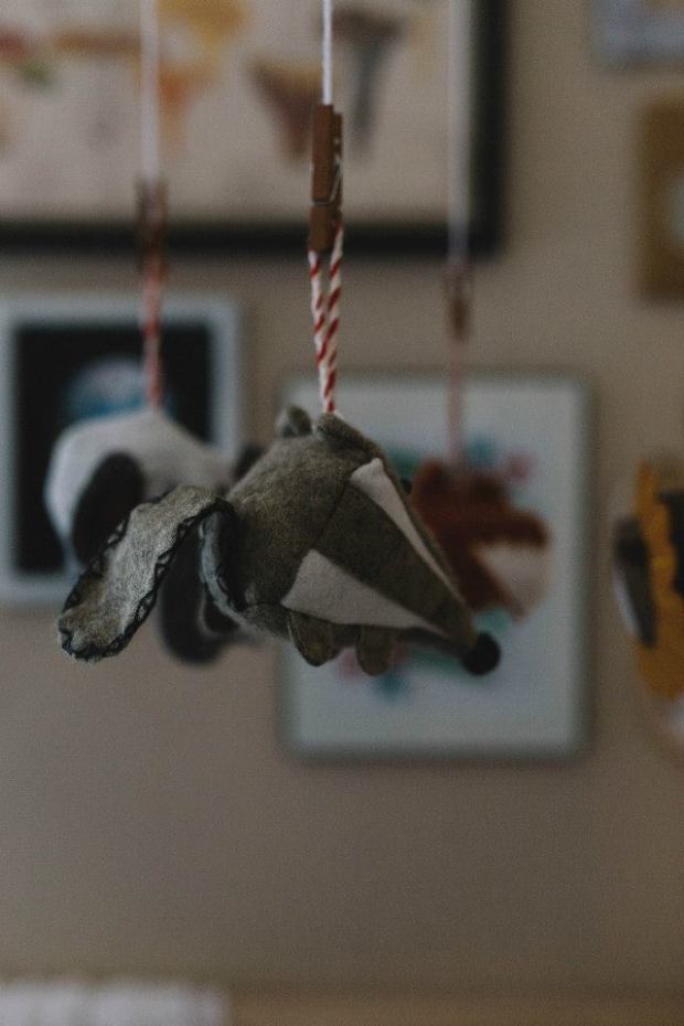 Photo by Megan Saul Photography